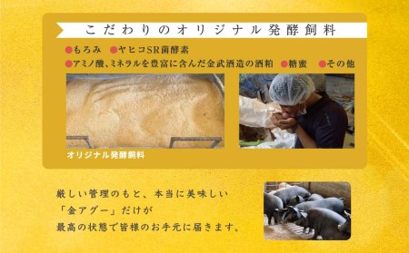 沖縄県産　金アグー　こだわり3種セット　ハンバーグ・ソーセージ・餃子