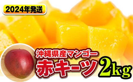 2024年発送】南国の果物 沖縄県産マンゴー 赤キーツ 2kg | 沖縄県