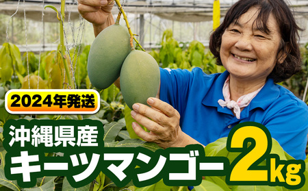 【2024年発送】沖縄県産キーツマンゴー2kg