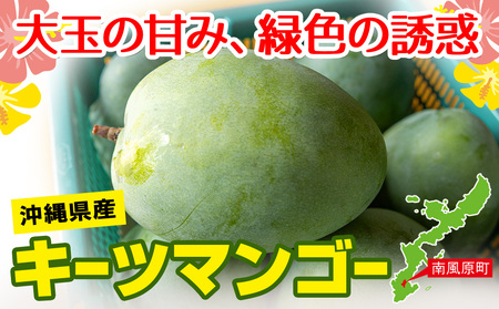 【2024年発送】南国の果物　沖縄県産マンゴー　キーツ　1kg
