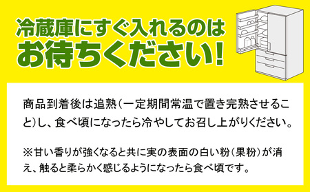 【2025年発送】南国の果物　沖縄県産マンゴー　キーツ　2kg