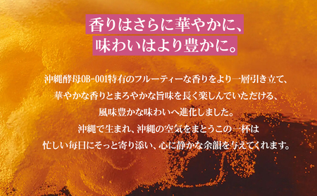 オリオンビール　オリオン ザ・プレミアム（500ml×24缶）