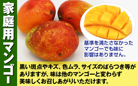 【2026年発送】濃厚なアーウィンマンゴー1.5kg　家庭用