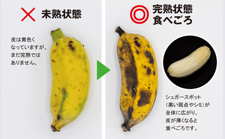 【希少】甘さ濃厚もっちりアップルバナナ3kg
