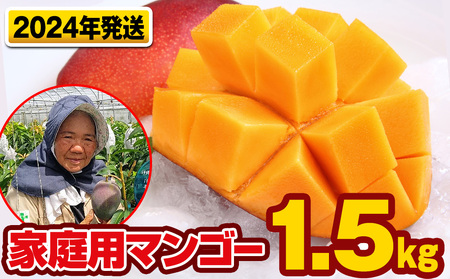 【2024年発送】芳醇な香り　とろける食感　家庭用マンゴー1.5kg
