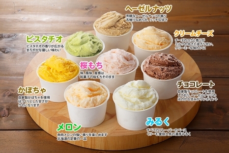 2356. 無地熨斗 くりーむ童話 カップ アイス 100ml×8個 みるく チョコ クリームチーズ メロン かぼちゃ 桜もち ヘーゼルナッツ ピスタチオ アイスクリーム 詰め合わせ 送料無料 北海道 弟子屈町