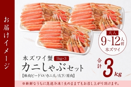 3000. 本ズワイガニ 蟹しゃぶ ビードロ 1kg 3個 計3kg 9-12人前 生食 カット済 ずわい蟹 ズワイガニ カニ 蟹 かに 生 蟹しゃぶ 人気 お取り寄せ 送料無料 北海道 弟子屈町