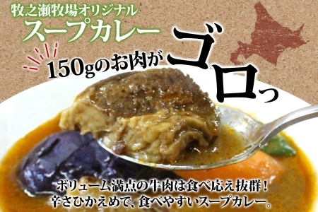 3021. ビーフ スープカレー 300g 2箱 カレー ビーフカレー スープ 牛 牛肉 放牧牛 牧場 レトルトカレー レトルト食品 レトルト 湯煎 レンジ 牧之瀬牧場 送料無料 北海道 弟子屈町