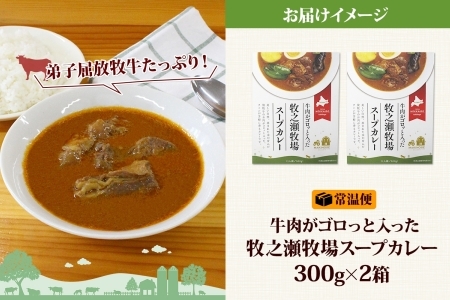 3021. ビーフ スープカレー 300g 2箱 カレー ビーフカレー スープ 牛 牛肉 放牧牛 牧場 レトルトカレー レトルト食品 レトルト 湯煎 レンジ 牧之瀬牧場 送料無料 北海道 弟子屈町