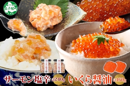 3386. サーモン塩辛 120g いくら醤油漬け 80g 各2個 小分け サーモン 鮭 さけ サケ いくら イクラ 漬け 醤油漬け おつまみ アレンジ 海鮮 ご飯のお供 グルメ 冷凍 数量限定 送料無料 瓶 ギフト 贈り物 プレゼント 北海道 弟子屈町