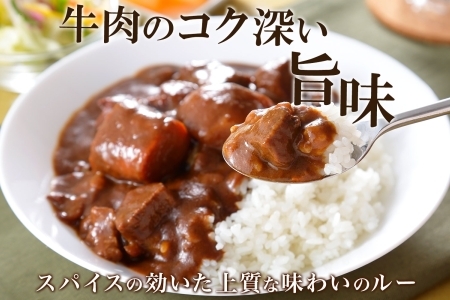 3444. おためし 弟子屈 ビーフカレー 1個 中辛 牛肉 お試し レトルトカレー 野菜 備蓄 北海道 弟子屈町