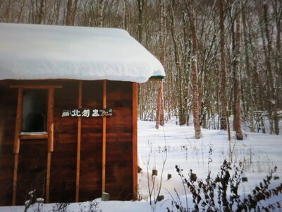 3266.中皿（白色・絵模様あり）深皿