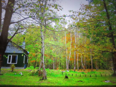 3266.中皿（白色・絵模様あり）深皿