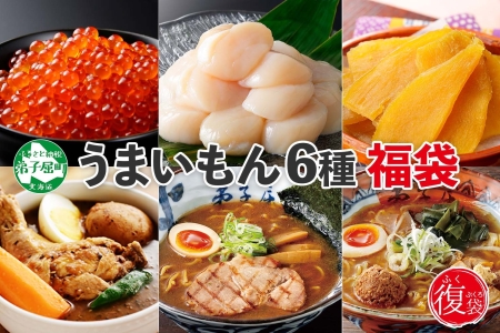 530.北海道 復興 福袋 詰め合わせ セット スープカレー 弟子屈ラーメン ホタテ 帆立 いくら イクラ 醤油漬け 干し芋 北国からの贈り物 弟子屈町