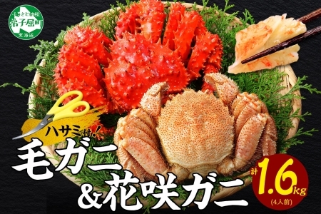 北海道四大蟹 特盛りセット かに セット タラバカニ ズワイガニ 毛蟹