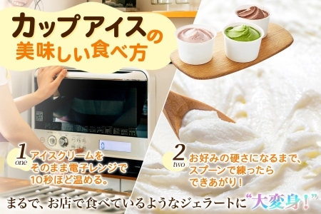 1333.アイスクリーム ジェラート 食べ比べ 8個 アイス A セット 手作り 北海道 弟子屈町