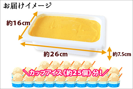 611.アイスクリーム かぼちゃ ジェラート カボチャ 業務用 2リットル 2L 南瓜 アイス 大容量  手作り 北海道 弟子屈町