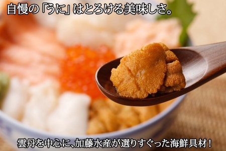 739 厳選 6種 海鮮丼 雲丹 Aセット 300g前後 2人前 うに ウニ いくら醤油 イクラ 魚卵 帆立 ホタテ 鮭 シャケ 秋鮭 北海道 弟子屈町 北海道弟子屈町 ふるさと納税サイト ふるなび 739 厳選 6種 海鮮丼 雲丹 Aセット 300g前後 2人前 うに ウニ いくら醤油 イクラ 魚卵 帆立 ホタテ 鮭 シャケ 秋鮭 北海道 弟子屈町 北海道弟子屈町 ふるさと納税サイト ふるなび