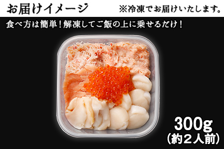 ふるさと納税】9種類の具材が入った！北海海鮮丼300g（150g×2個