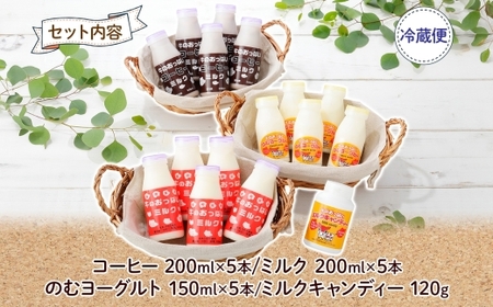 784.牛のおっぱいミルク 5本 コーヒーミルク5本 のむヨーグルト5本 計15本 おっぱいミルクキャンディー1個 セット 牛乳 生乳 ミルク 牛 酪農 飲料 しぼりたて 珈琲 ヨーグルト 飴 お取り寄せ ギフト gift 渡辺体験牧場 まとめ買い 北海道 弟子屈町