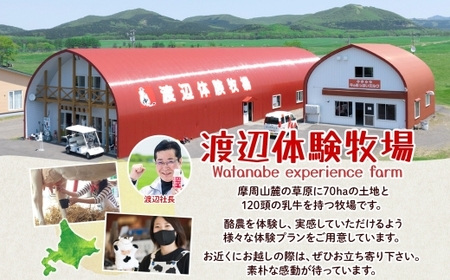 784.牛のおっぱいミルク 5本 コーヒーミルク5本 のむヨーグルト5本 計15本 おっぱいミルクキャンディー1個 セット 牛乳 生乳 ミルク 牛 酪農 飲料 しぼりたて 珈琲 ヨーグルト 飴 お取り寄せ ギフト gift 渡辺体験牧場 まとめ買い 北海道 弟子屈町