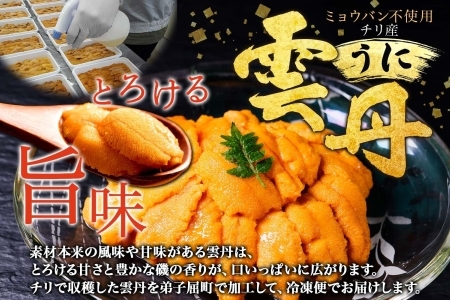 1958. うに チリ産 冷凍 100g 鱒いくら醤油漬け 100g セット ウニ 雲丹 チリ産 ますいくら 鱒 マス イクラ いくら いくら醤油漬け 海鮮 海鮮丼 送料無料 北海道 弟子屈町