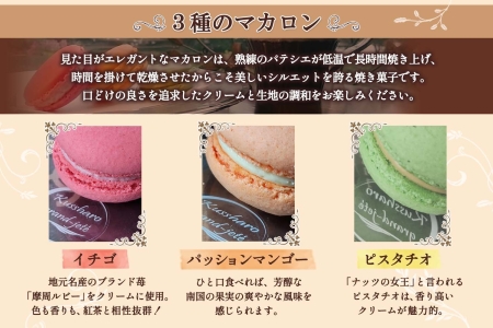 1591. マカロン 6個入り grand-jete' いちご パッションマンゴー ピスタチオ イチゴ 苺 マンゴー スイーツ お菓子 洋菓子 冷凍 お取り寄せ グルメ ギフト ガラス工房 グランジュテ 送料無料 10000円 北海道 弟子屈町