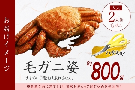 2986. ボイル毛蟹姿 800g 食べ方ガイド・専用ハサミ付 カニ かに 蟹 海鮮 送料無料 北海道 弟子屈町