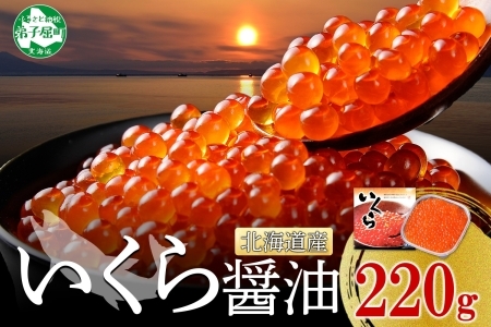 381 いくら醤油漬け ギフト箱 250g 北海道 いくら イクラ 魚卵 魚介 海鮮 北海道弟子屈町 ふるさと納税サイト ふるなび