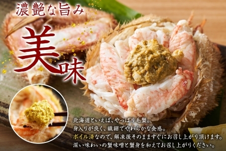 3335.毛蟹 2尾 計1.2kg前後 食べ方ガイド・専用ハサミ付 カニ かに 蟹 海鮮 ボイル 送料無料  北海道 弟子屈町