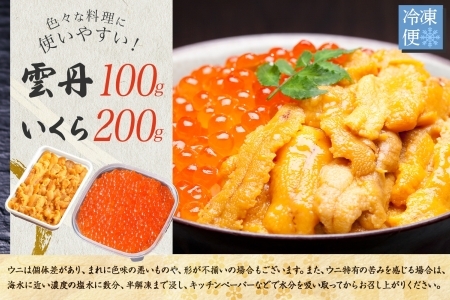 1768. うに 100g いくら醤油漬け 200g ウニ チリ産 冷凍 いくら 二色丼