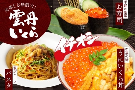 2941.  無地熨斗 うに 100g いくら醤油漬け 200g ウニ チリ産 冷凍 いくら 二色丼 雲丹 イクラ 海鮮 海鮮丼 うに丼 いくら丼 いくら醤油漬け のし 名入れ不可 送料無料 北海道 弟子屈町