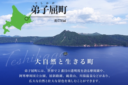 【ふるさと納税】【北海道ツアー】280. 「北海道プレミアムBBQ × カニBBQ × 宿泊 セットプラン」弟子屈町 屈斜路湖畔 宿泊券 旅行券 旅行チケット【1泊2日×2名分】【2023年5月20日-9月20日】【平日プラン】