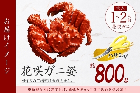 年内配送12月25日まで 1305 ボイル花咲蟹姿 800g 食べ方ガイド 専用ハサミ付 カニ かに 蟹 海鮮 送料無料 北海道 弟子屈町 北海道弟子屈町 ふるさと納税サイト ふるなび