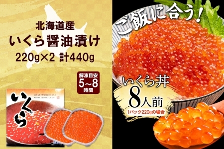 2993. いくら醤油漬け 220g×2個 いくら醤油 イクラ しょうゆ漬け いくら イクラ 醤油 海鮮 魚介 いくら丼 鮭 魚卵 贈答 ギフト 送料無料 北海道 弟子屈町