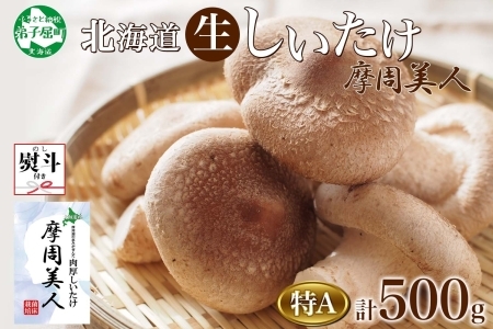 1805. 無地熨斗 しいたけ 特A 秀品 2パック 500g 摩周美人 シイタケ 椎茸 生しいたけ きのこ キノコ 菌床栽培 肉厚 熨斗 のし 名入れ不可 送料無料 北海道 弟子屈町 5000円