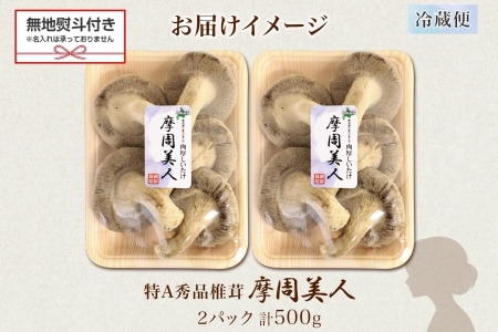 1805. 無地熨斗 しいたけ 特A 秀品 2パック 500g 摩周美人 シイタケ 椎茸 生しいたけ きのこ キノコ 菌床栽培 肉厚 熨斗 のし 名入れ不可 送料無料 北海道 弟子屈町 5000円