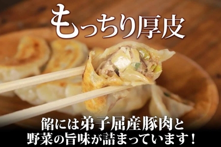 1810. よだれ餃子 10個入 2パック 計20個 餃子 ぎょうざ ギョウザ ギョーザ 生餃子 冷凍 中華 豚 肉 野菜 厚皮 焼き 惣菜 おかず 昇龍軒 送料無料 北海道 弟子屈町 8000円