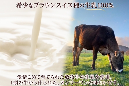 1807. 牧之瀬牧場 アイスクリーム ミルク 2L 業務用 ブラウンスイス 2リットル アイス ジェラート 牧場 生乳 牛乳 スイーツ デザート おやつ 送料無料 北海道 弟子屈町 16000円