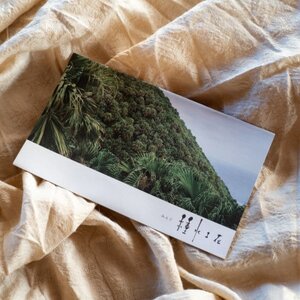 クバのピアス　”LOVE”(GOLD)【1505291】