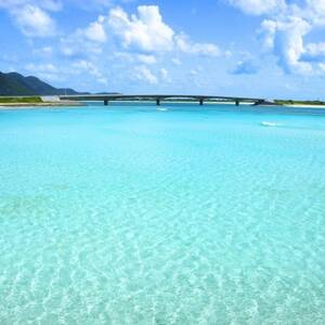 使い方色々の天然にがり大サイズ「海の幸」10リットル【1517036】