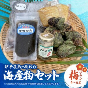 伊平屋島で獲れた海産物セット 梅プラン(4～6品)【配送不可地域：離島】【1518216】