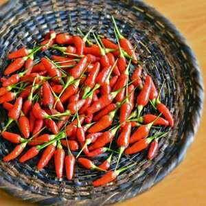 一味唐辛子2本セット【1518256】