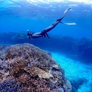 手ぶらでスノーケリング(1名様2時間コース)【1533678】