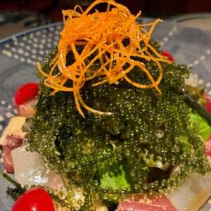 ぷちぷち濃厚 伊平屋の「生」海ぶどう 100g×2パック【1582127】