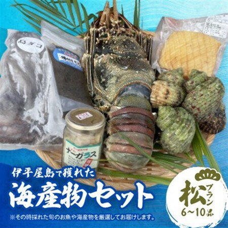 伊平屋島で獲れた海産物セット 松プラン(6～10品)【配送不可地域：離島】【1518233】 9,375円