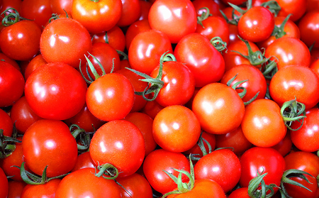 【2025年12月以降順次発送】てぃーだの恵みと田里さんの愛情たっぷり！ミニトマト ミックス2kg ミニトマト トマト 野菜 甘い 濃厚 フルーツ デザート フレッシュ サラダ スープ ピザ パスタ ソース トマト料理 リコピン ビタミンC ビタミンA β－カロテン 抗酸化作用 免疫機能