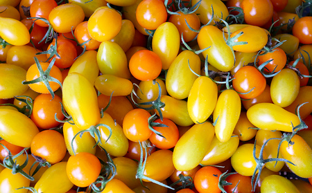 【2025年12月以降順次発送】てぃーだの恵みと田里さんの愛情たっぷり！ミニトマト ミックス2kg ミニトマト トマト 野菜 甘い 濃厚 フルーツ デザート フレッシュ サラダ スープ ピザ パスタ ソース トマト料理 リコピン ビタミンC ビタミンA β－カロテン 抗酸化作用 免疫機能