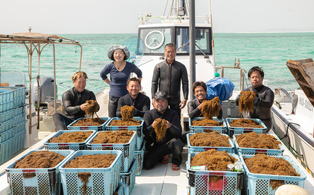 海洋深層水で洗い急速冷凍した久米島産！早摘み生もずく 500g もずく モズク 海藻 早摘み もずく酢 味噌汁 天ぷら 食物繊維 フコイダン ビタミン ミネラル アミノ酸 稀少 ぬめり コシ 海洋深層水 急速冷凍 新鮮 沖縄 久米島