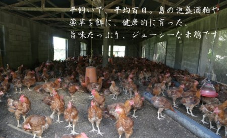 島の泡盛酒粕でじっくり健康的に育てた 久米島赤鶏1羽セット(解体) 2kg
